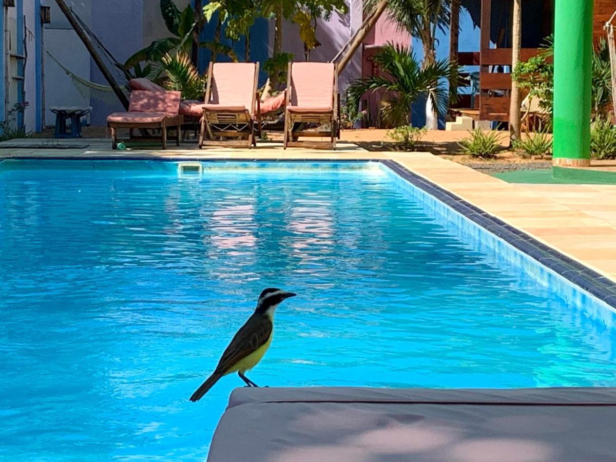 Pousada Janela da Cor Jijoca de Jericoacoara Bagian luar foto